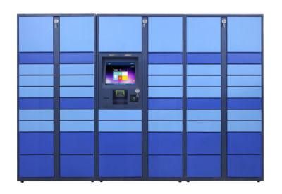 Supermarket and Delivery Electronic Storage Locker