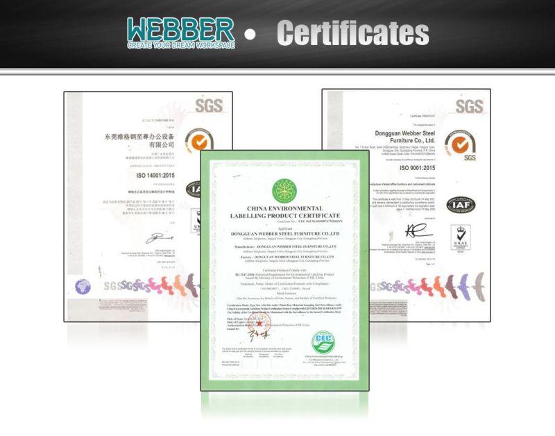 Cartons New Webber ISO9001: 2000, ISO14001: 2004 China Locker Wardrobe