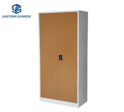 Modern Furniture Metal Storage Locker with 2 Swing Door
