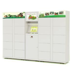 Intelligent Parcel Delivery Locker with Qr Code