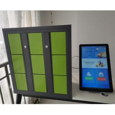 Metal Logistics Delivery Smart Lockers for for Supermarket Bank Laundry