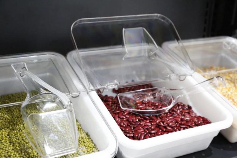 Ecobox Bulk Food Container