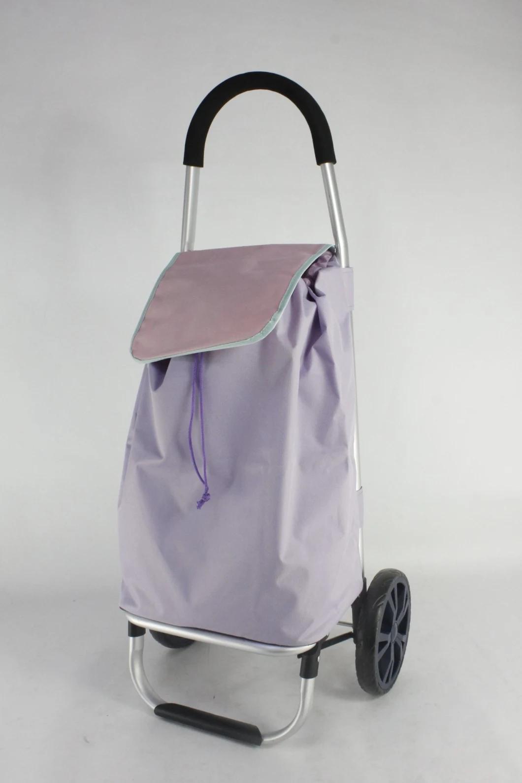 Basic Popular Customized Color OEM ODM Best Selling Wholesale Foldable 2 Wheels Shopping Trolley