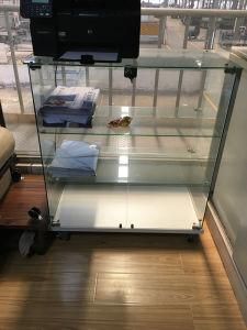 Superior Glass Cabinet for Home Office Hall