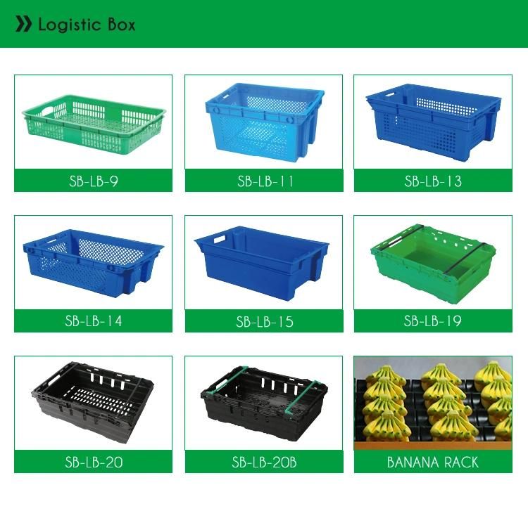 Hot Sell Supermarket Foldable Fruit and Vegetable Display Shelves