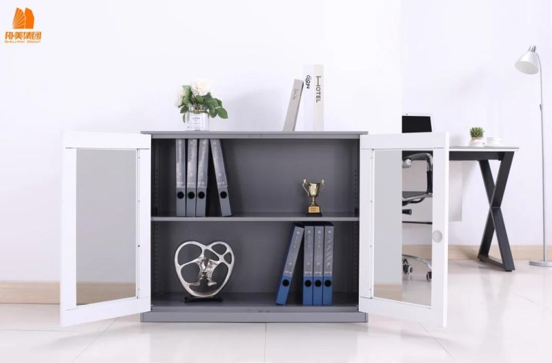 Factory Price 2 Swing Glass Door File Cabinet for Sale