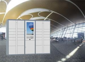Hot Sale Customizable Parcel Delivery Locker for DHL FedEx UPS Multi Companies Use