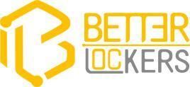 Standard Smart Electronic Locker Barcode Electronic Cell Phone Locker