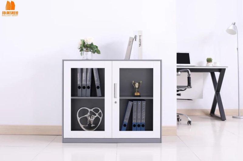 Factory Price 2 Swing Glass Door File Cabinet for Sale