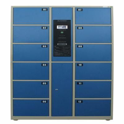 Stainless Steel Gym Electronic Lockers with 12 Doors