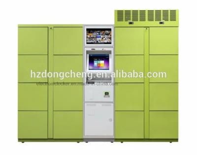 Green Fresh Food or Frozen Food Delivery Parcel Locker