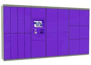 Ce Certificated Large Size School Locker Luggage Rental Locker with RFID Card Access and Advertising Screen