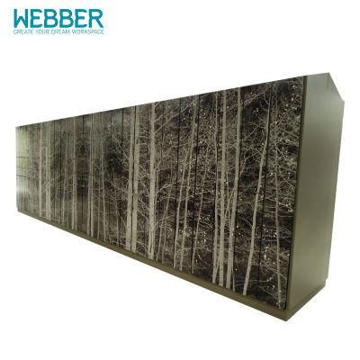 Factory Furniture Direct Sale Metal Locker Waterproof for Changing Room