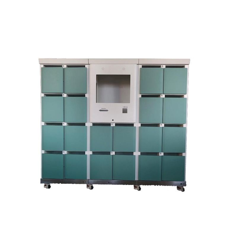 Densen Customized Smart Door Parcel Luggage Locker Supermarket Locker 20 Smart Cabinet