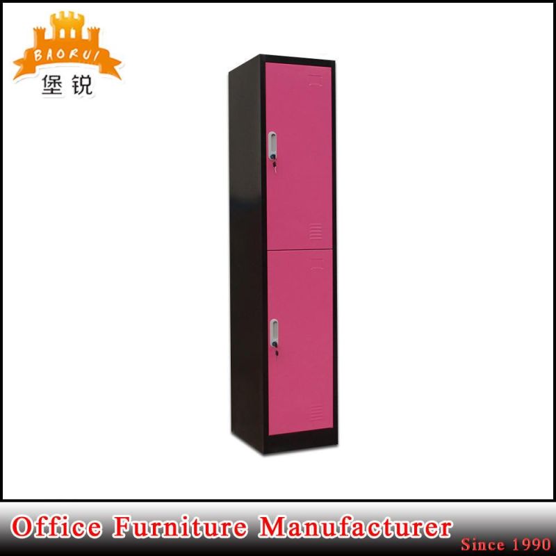 Luoyang Steel Furniture Gym Metal Single 2 Door Steel Locker