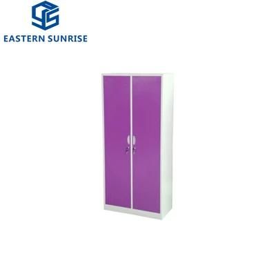 Hot Selling 2 Door Storage Locker Cabinet