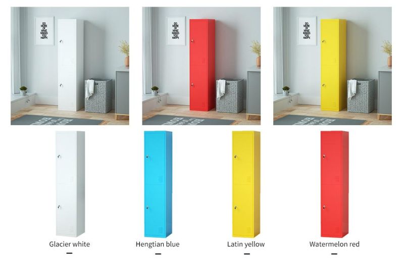 Gym Used Steel Locker 2 Doors Storage Metal Locker