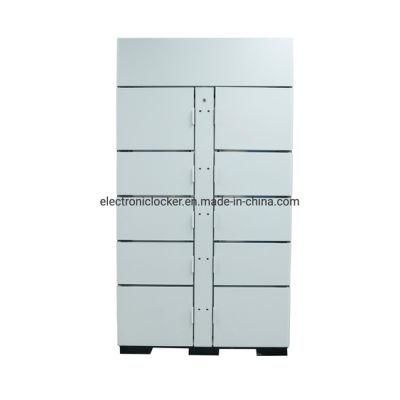 Customized Cold Rolled Steel DC Plywood Case Refrigerated Food Lockers Locker