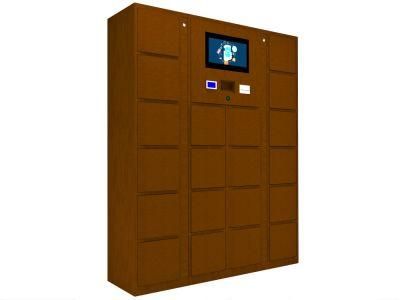 New Cold Rolled Steel DC Plywood Case Tuerschloss Smart Locker