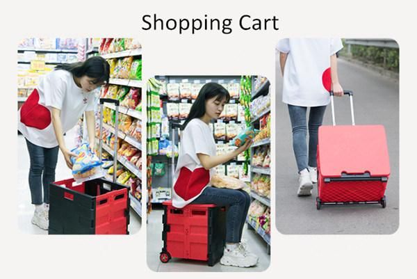 China Manufacturer Plastic Pack & Roll Folding Grocery Push Box Cart with Seat