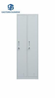 Wholesale Steel Locker with 2 Doors Use for Office