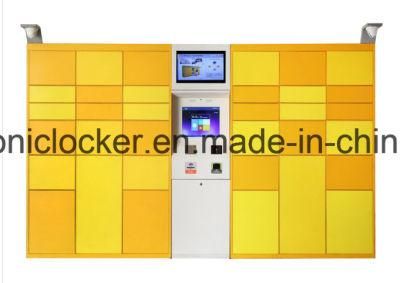 Customized Intelligent Parcel System Locker and Keyless for Logistics Hub Clothing Metal Smart Cabinet