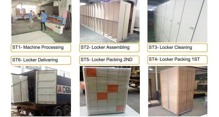 Customized HPL Storage Cabinet Furniture HPL Changing Room Locker