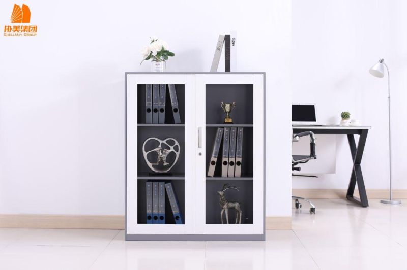 Wholesale Price 2 Glass Door File Cabinet with Lock