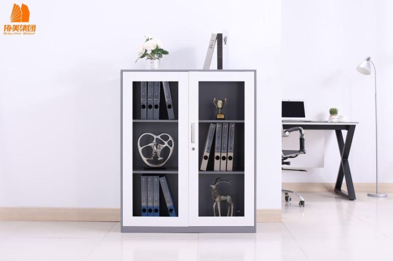 Steel Lock File Cabinet with 2 Door Glass Door