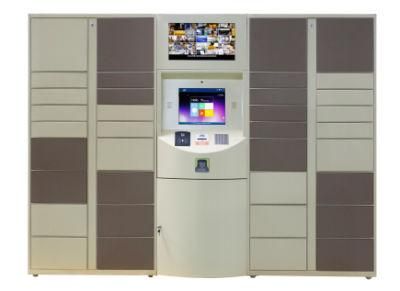 Custom Made System Intelligent Parcel Delivery Locker for Express Company