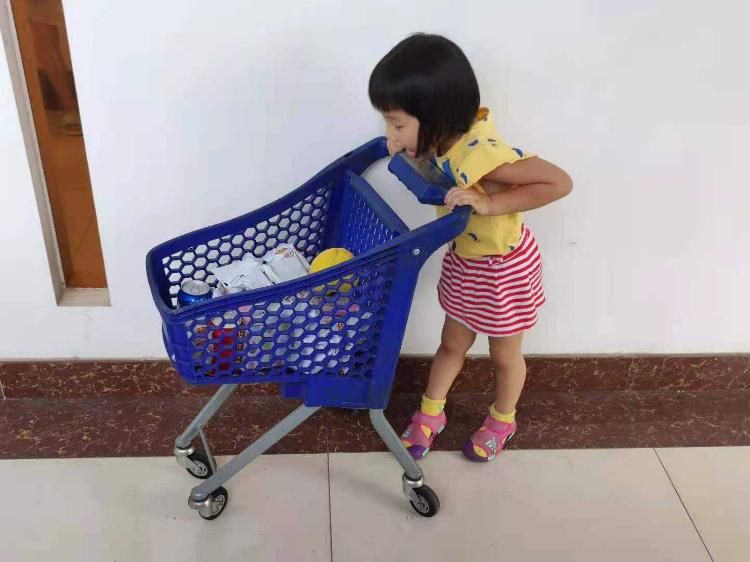 Mall Kids Shopping Trolley Smart Cart Trolley with a Flag