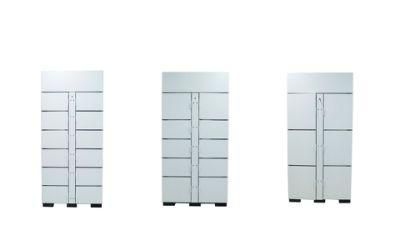 Cheap Price Password Combination DC Plywood Case CE, ISO Temperature Controlled Lockers Refrigerated Locker