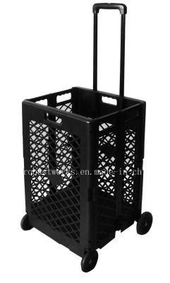 Extra Capacity Plastic Shopping Cart (FC404KP)