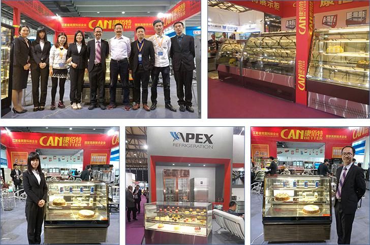 High Quality Glass Cake Display Bakery Pastry Showcase with Ce, CB