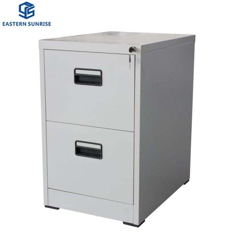 Office Bedroom Low Price High Quality Durable Style Big Promotion 2 Door Locker