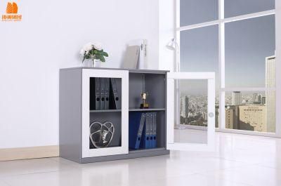 Modern Document Storage Cabinet Short Filing Cabinet with 2 Swing Glass Door