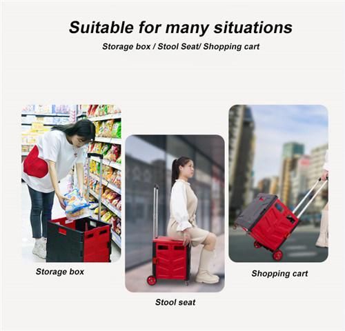 China Manufacturer Portable Folding Plastic Supermarket Shopping Cart with Large Capacity