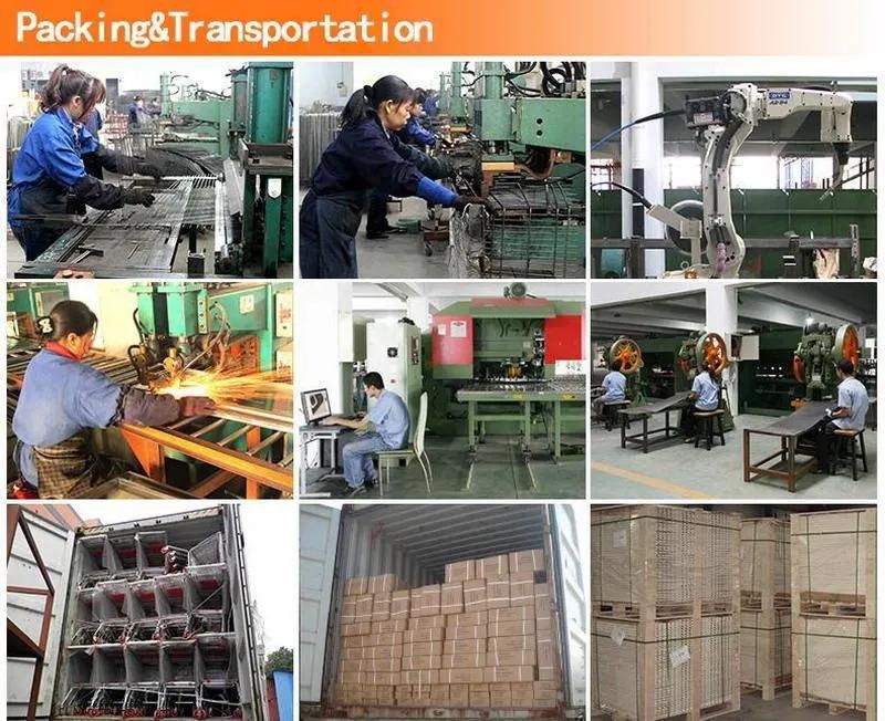 High Quality Metal Cart Trolley (JS-TEU06)