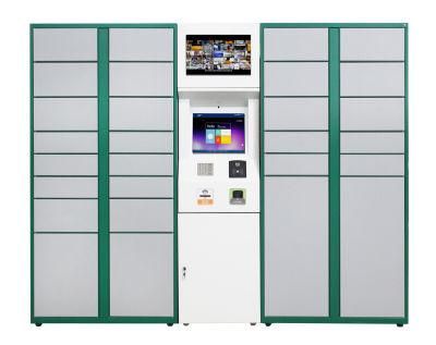 DC Cold Rolled Steel Plywood Case Electronic Safe Intelligent Locker