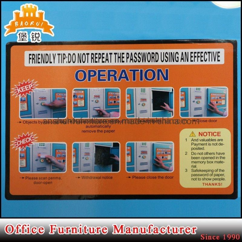 Detachable Customized Parcel Storage Cabinet in Promotion Selling
