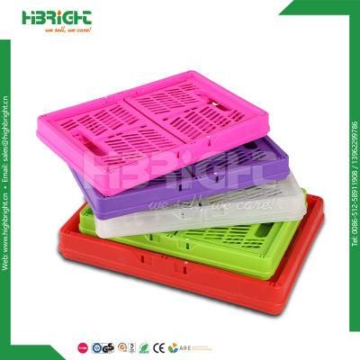 Fruit Vegetables Storage Crate Plastic Folding Basket