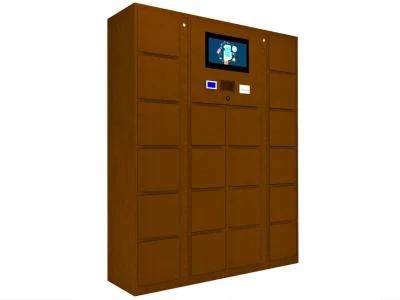 Identification Combination DC Plywood Case CE, ISO Face Recognition Locker