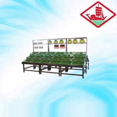 Durable 3 Layer Vegetable Rack Yd-V009