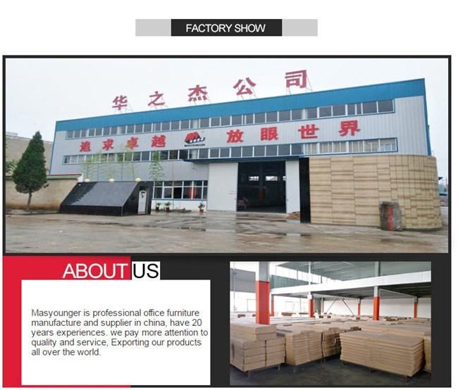 Factory Direct Sale Flat Packing 12 Door Metal Storage Locker
