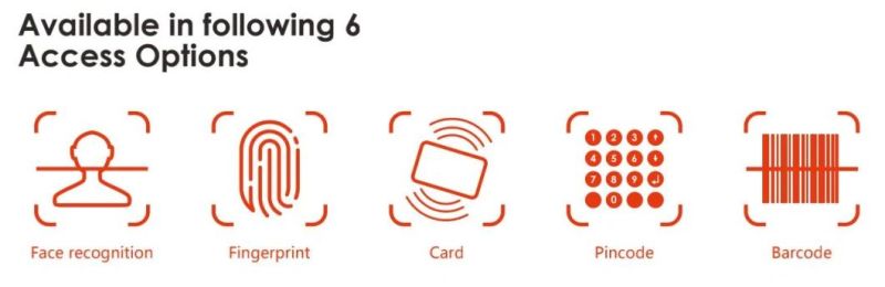 Indoor Use Smart Intelligent Face/Barcode/Card/Pin/Fingerprint Recognition Locker