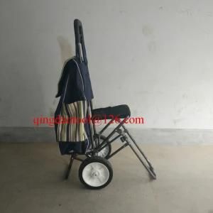 Foldable Luggage Cart Shopping Trolley