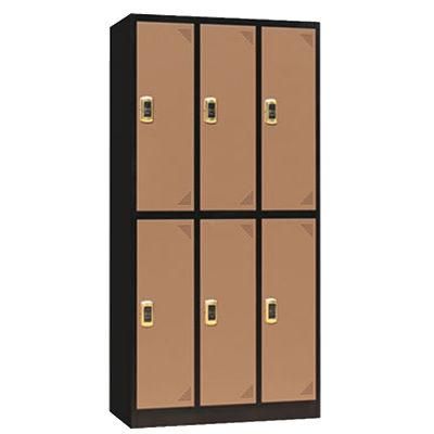 Swimming Pool Locker Metal Locker Storage Gym 6 Door Locker Staff Lockers