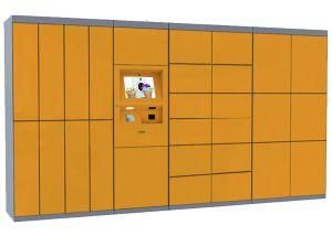 Cold Rolled Steel Laundry Locker with New Smart System and Multi Doors Choose for School Use
