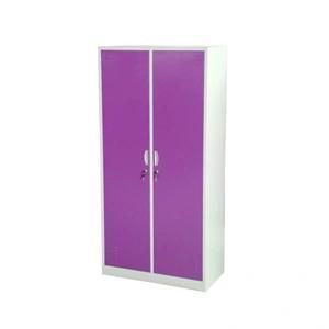 Hot Selling 2 Door Storage Locker Cabinet