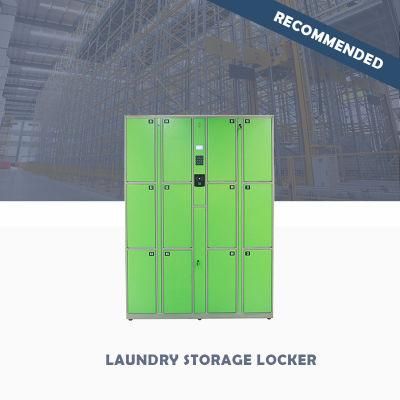 Various Optional Size Customized Qualitative Gym Laundry Storage Locker for Indoor Use